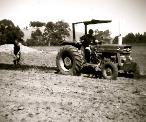 A tractor pulling a plow